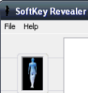 Softkey Revealer recuperador serials