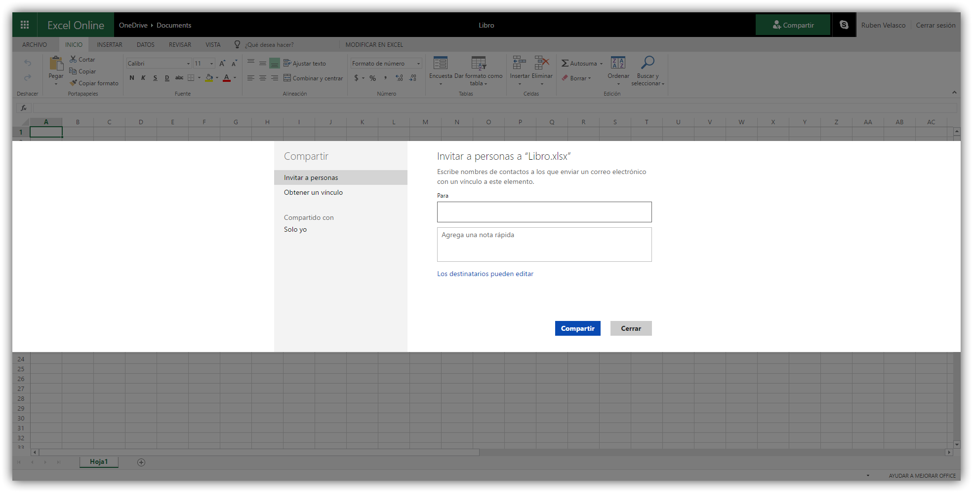 Profesión Así llamado audición Excel Online. Cómo crear hojas de cálculo online con Microsoft Excel -  SoftZone
