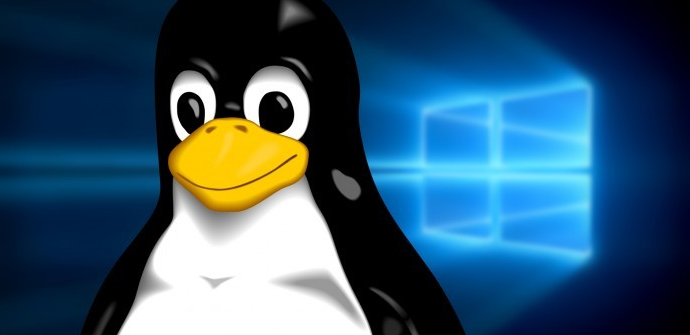 De Windows a Linux