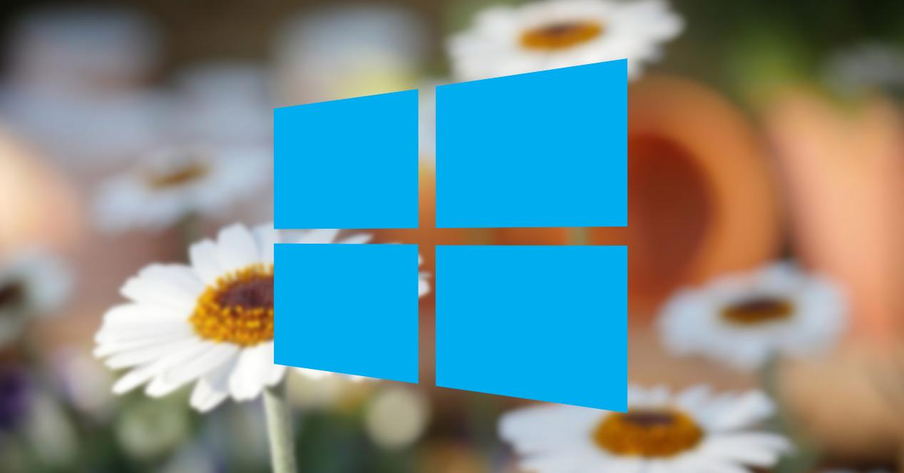 Windows 10 Spring Creators Update con margaritas