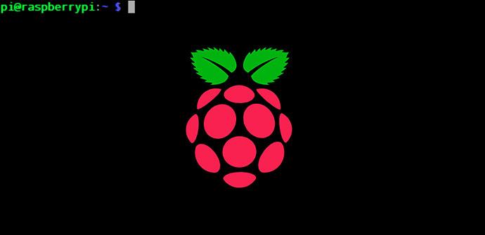 Terminal Raspberry Pi Raspbian