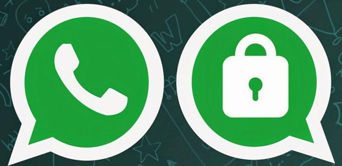 Signal y Telegram: Así trabajan en materia de privacidad