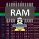 Gestionar RAM Linux