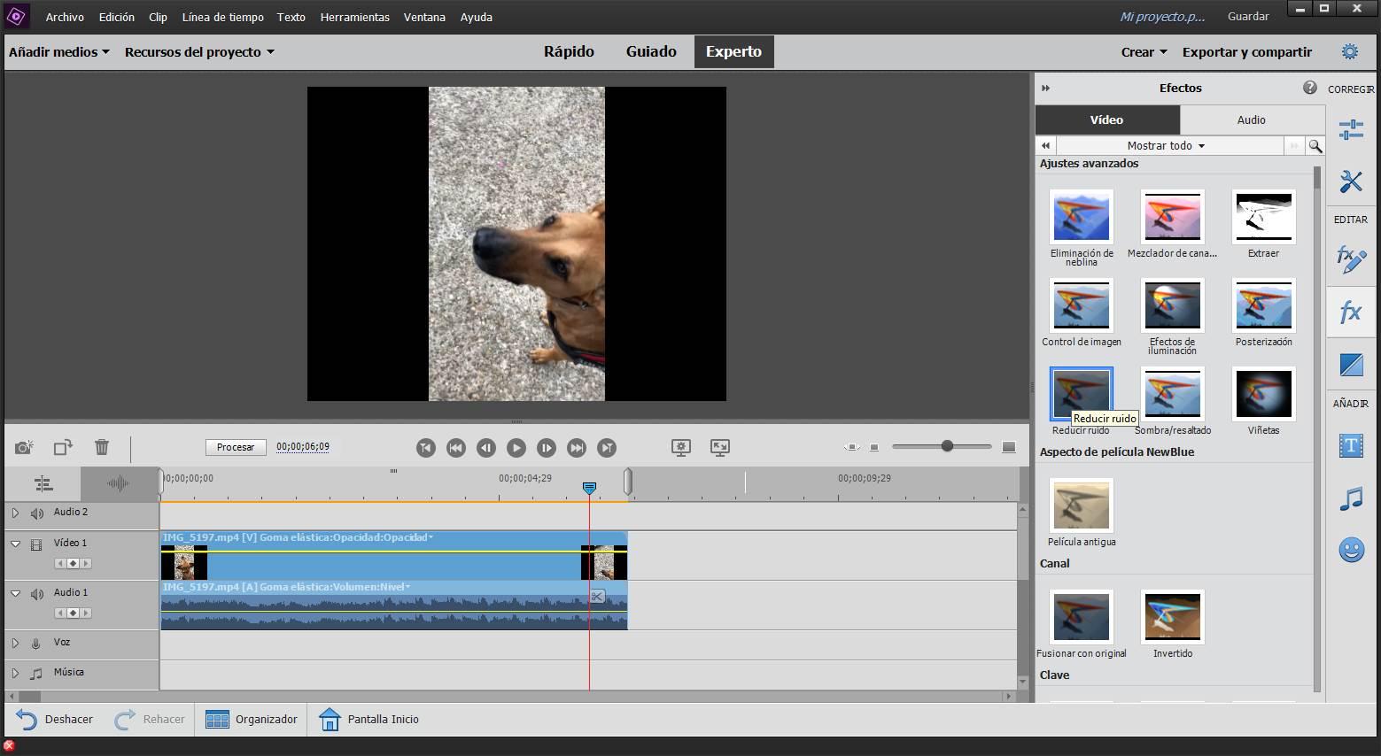 Adobe Premiere Elements - Reducir ruido a vídeo
