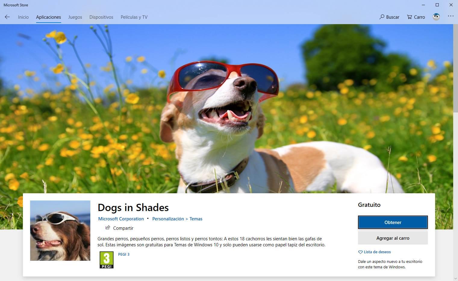 Tema perros gafas de sol