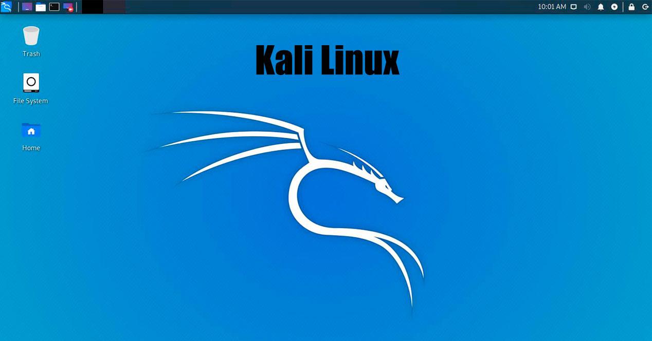 Kali Linux escritorio