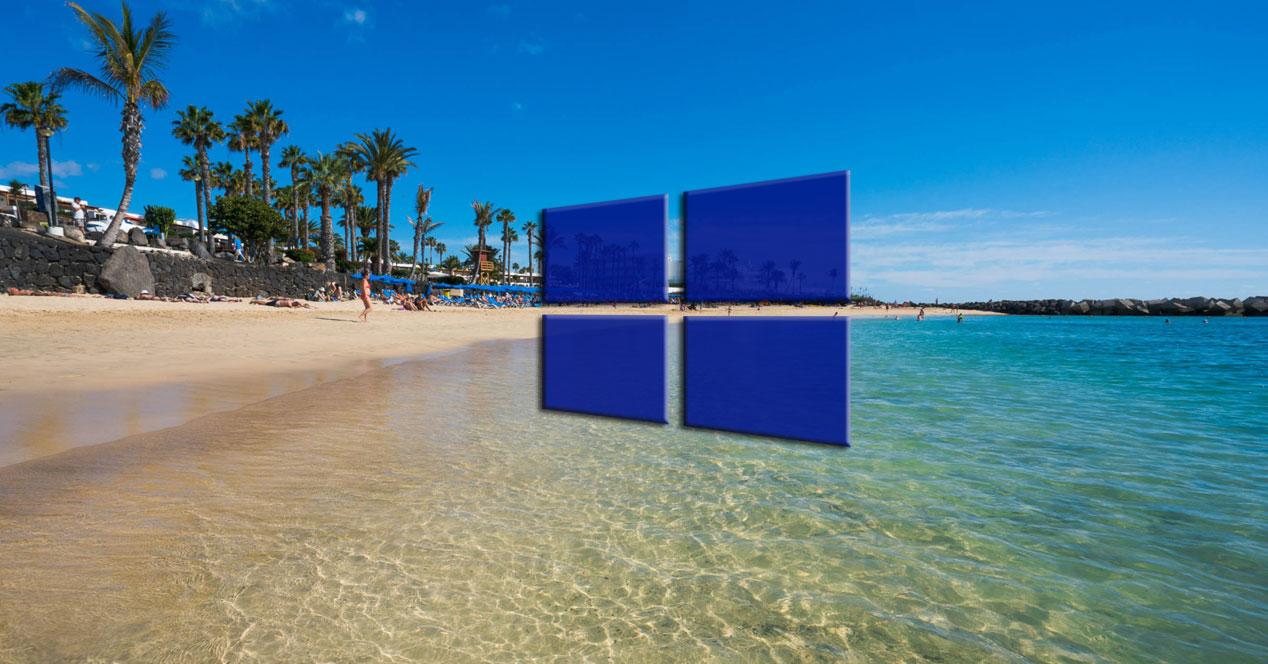 Animales Y Playas Descarga Los Nuevos Temas 4k De Microsoft