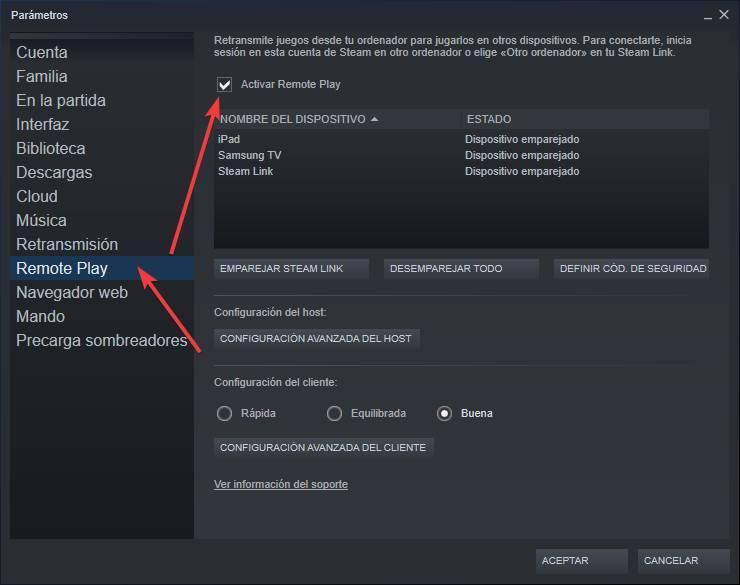 Steam Remote Play Together 1