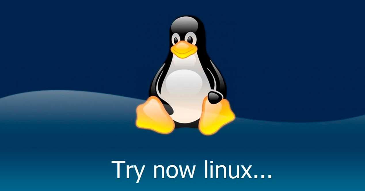 Probar Linux