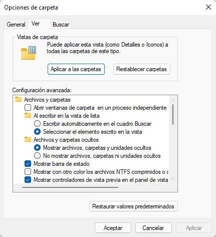 Mostrar archivos ocultos Windows 11 - 3