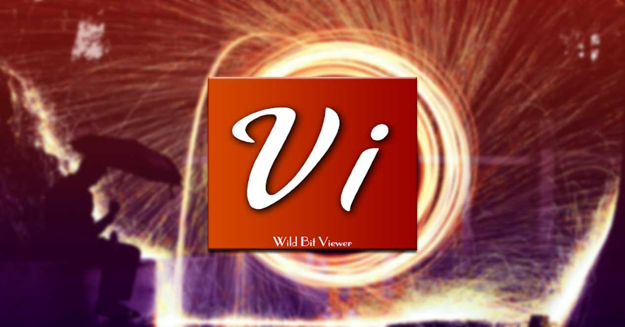 WildBit Viewer visor