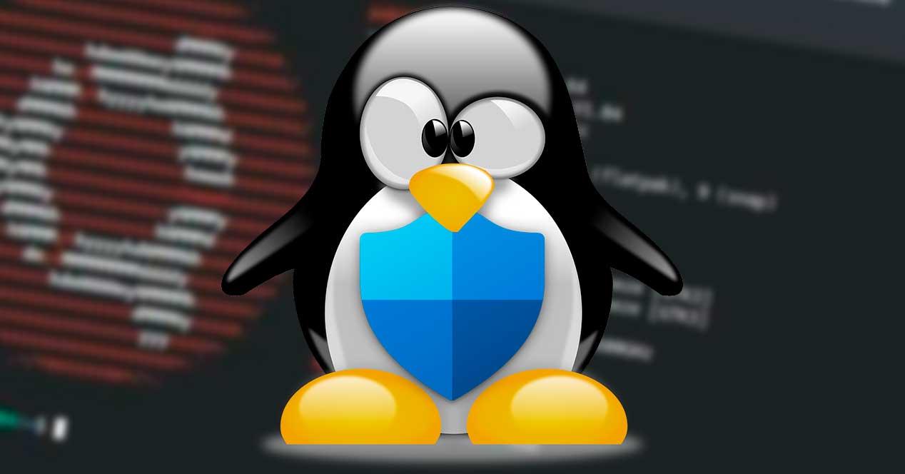 Linux Ubuntu Windows Defender