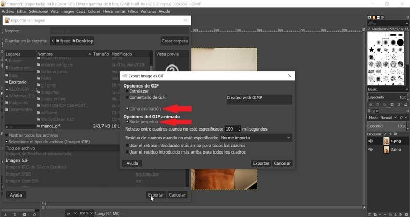 Opțiuni GIMP pentru export GIF
