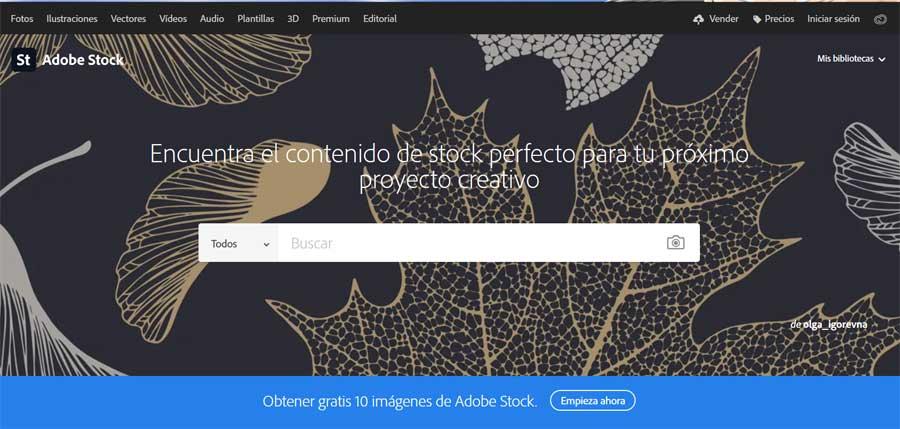 Adobe Stock interfaz