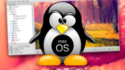 Elementary OS 6.0 beta