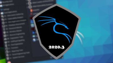 Kali Linux 2020.3