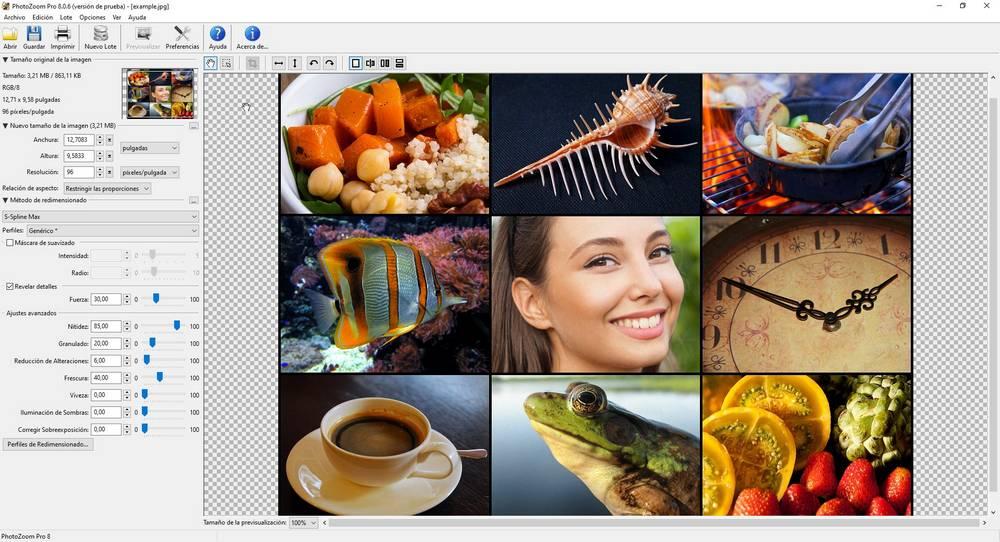 PhotoZoom Pro 8 interface