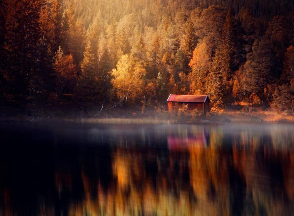 Autumn wonderland