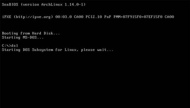 DSL - Linux en MS-DOS 1