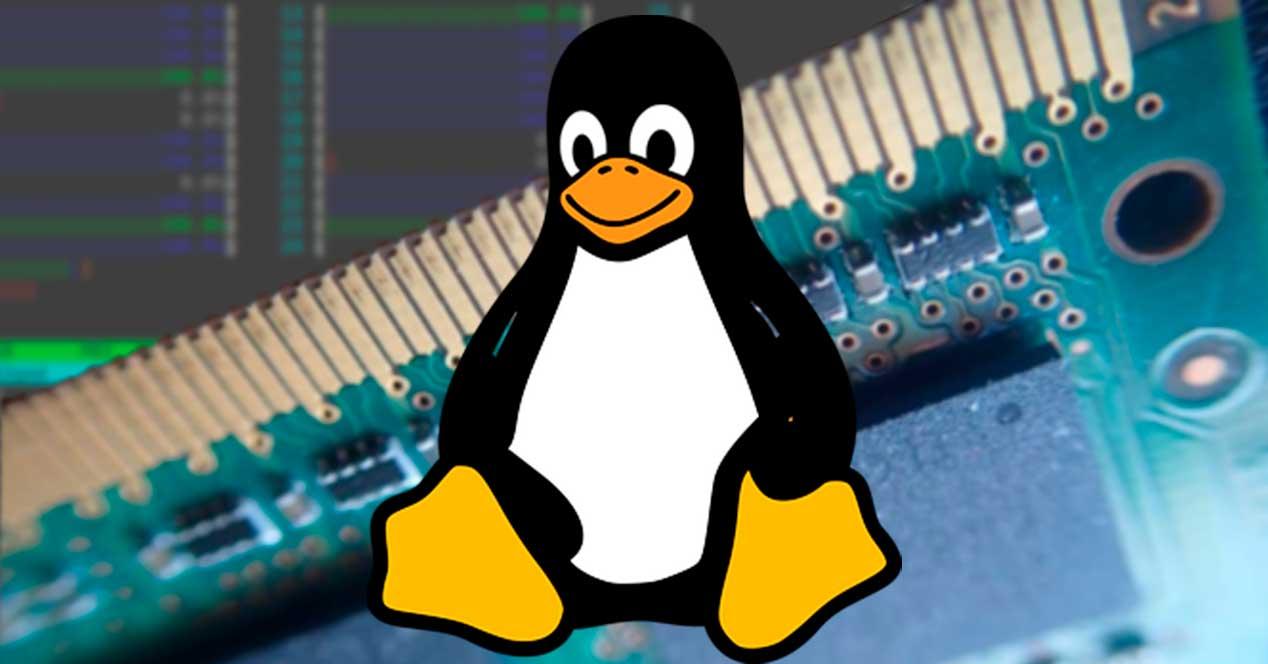 Linux RAM Swap