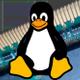 Linux RAM Swap