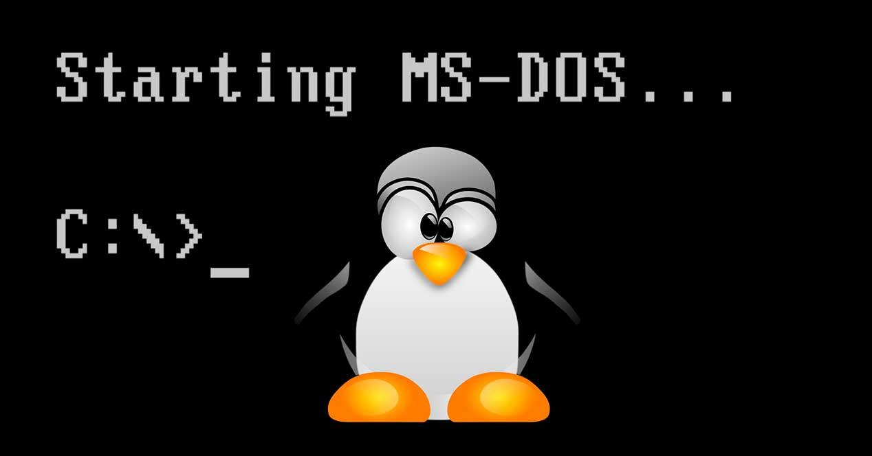 Starting DSL Linux en DOS