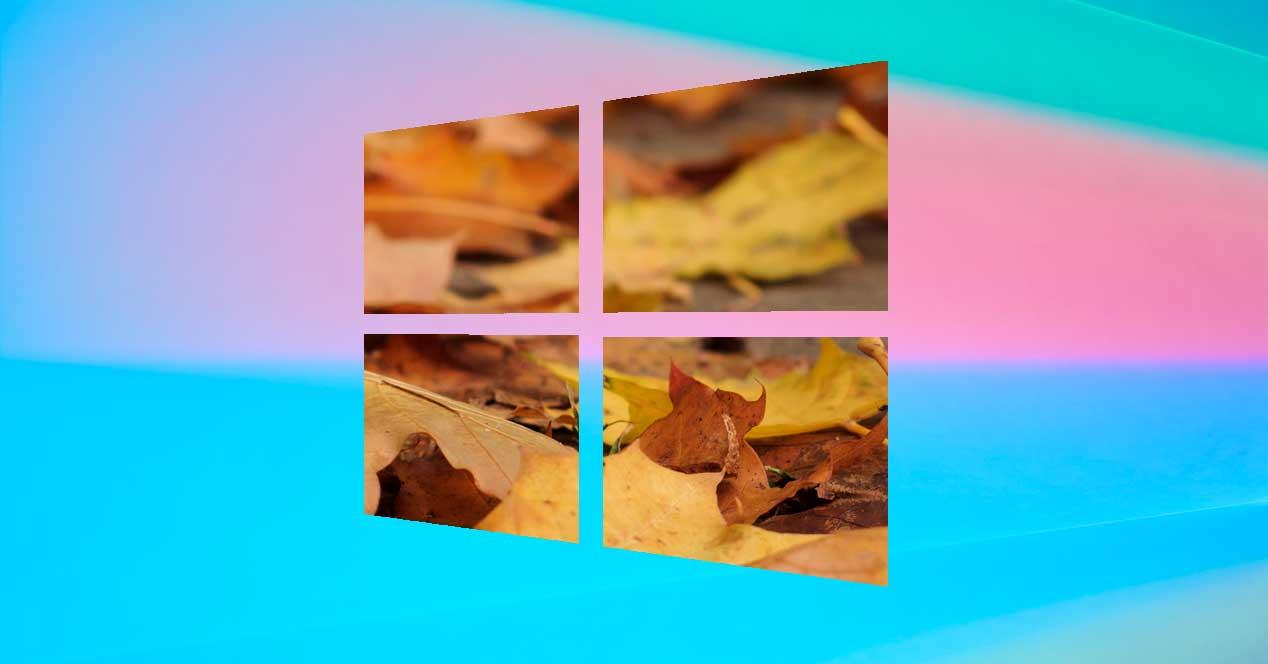 Windows 10 hojas otoño
