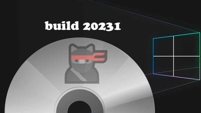 ISO Insider build 20231