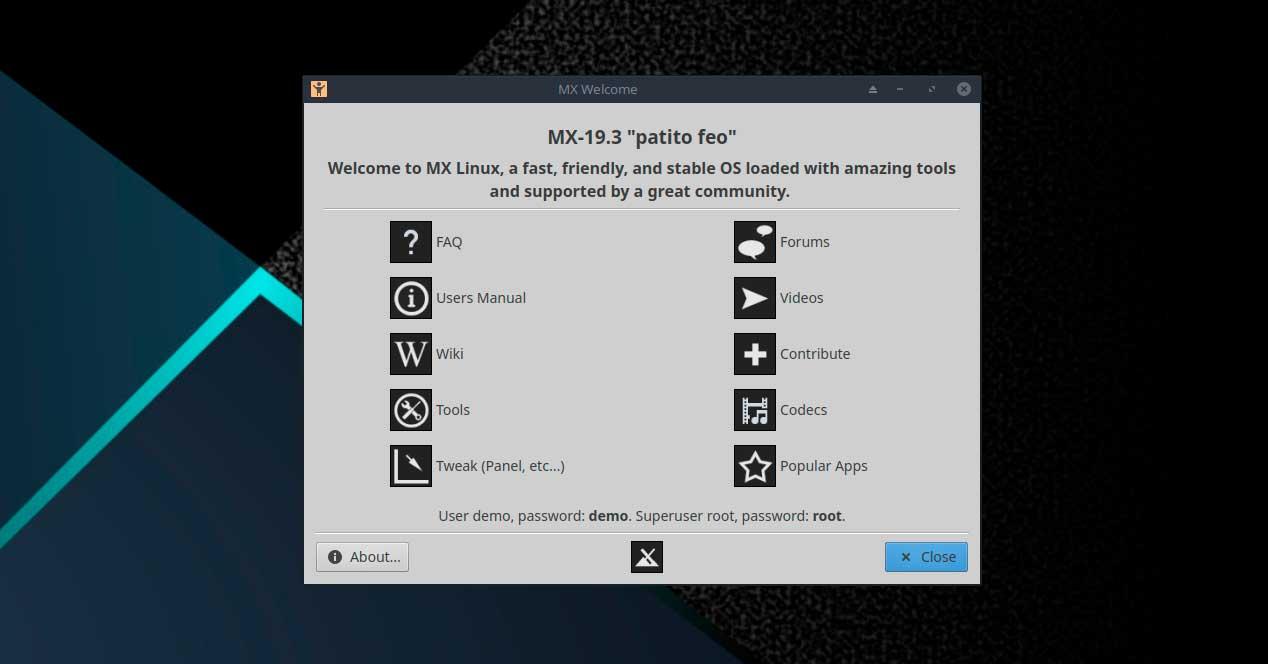 MX Linux 19.3