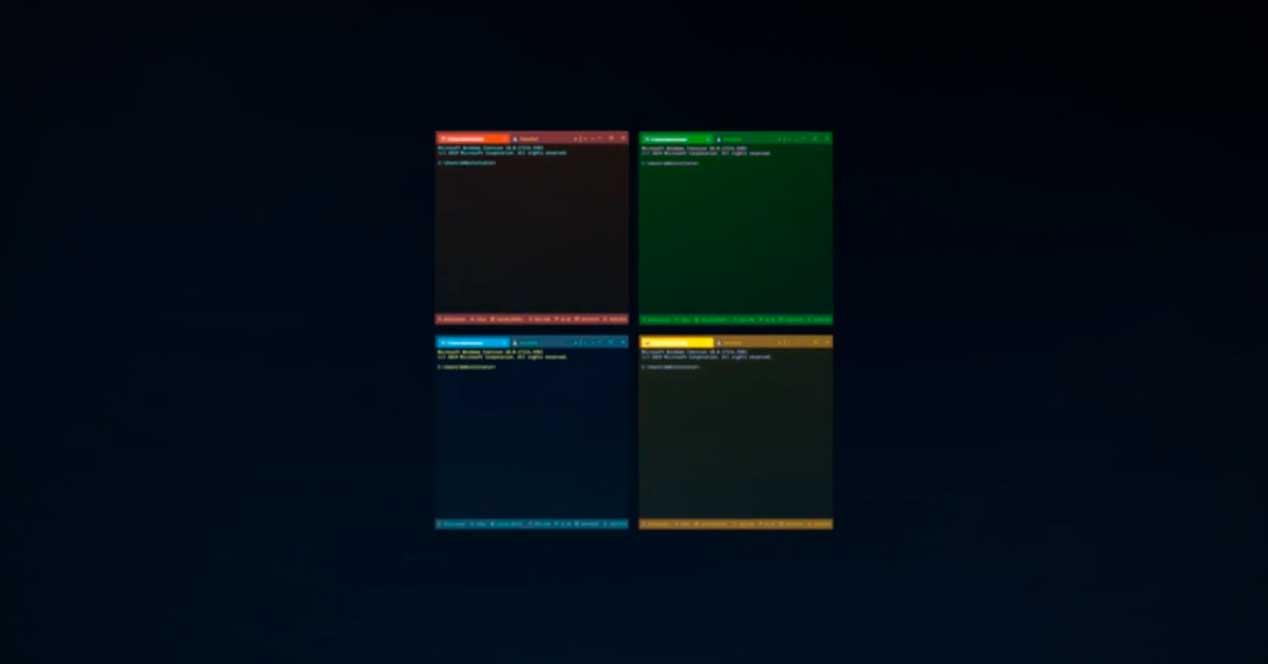Windows Terminal colores Microsoft