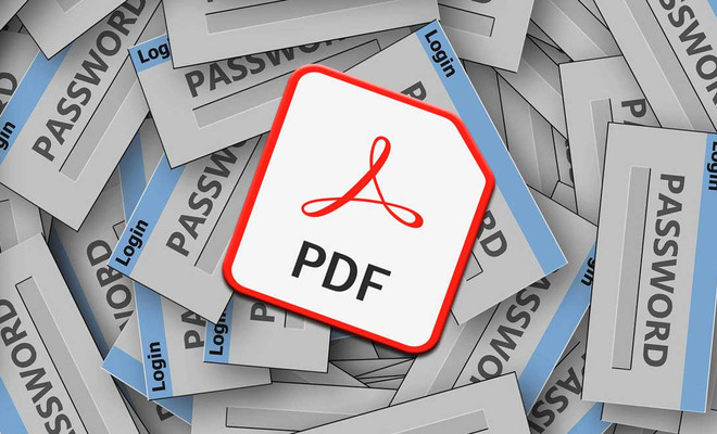 Contraseña PDF