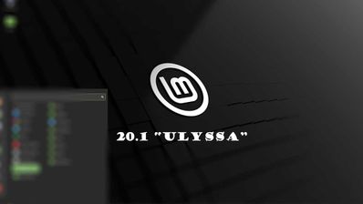 Mint 20.1 Ulyssa