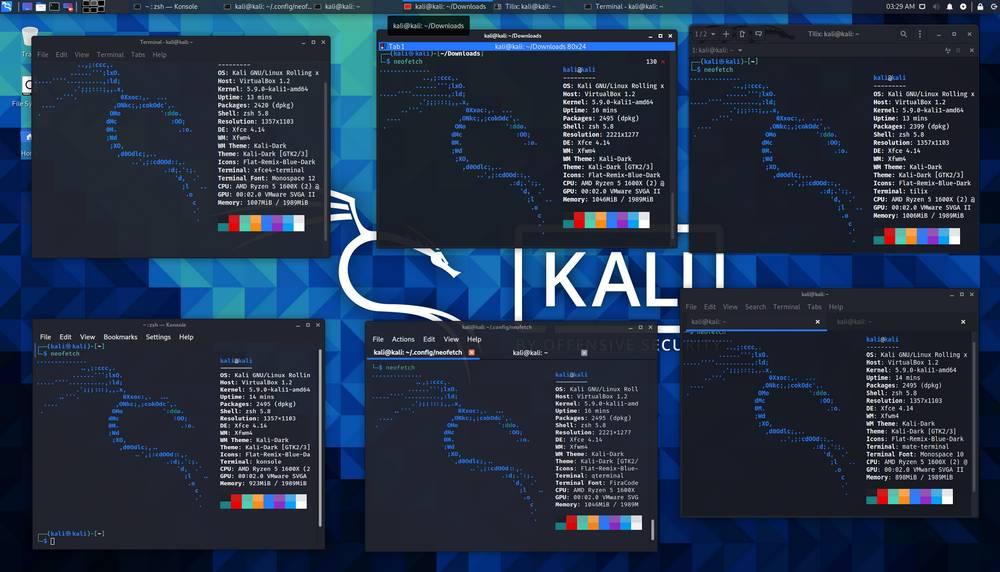 Kali Linux 2021.1 Terminales