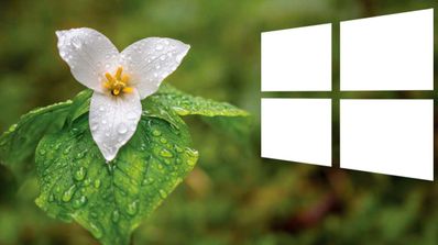 Primavera Windows 10