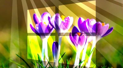 Windows 10 Spring Sun