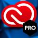 Adobe Pro
