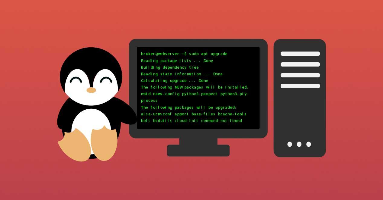 Comandos Linux