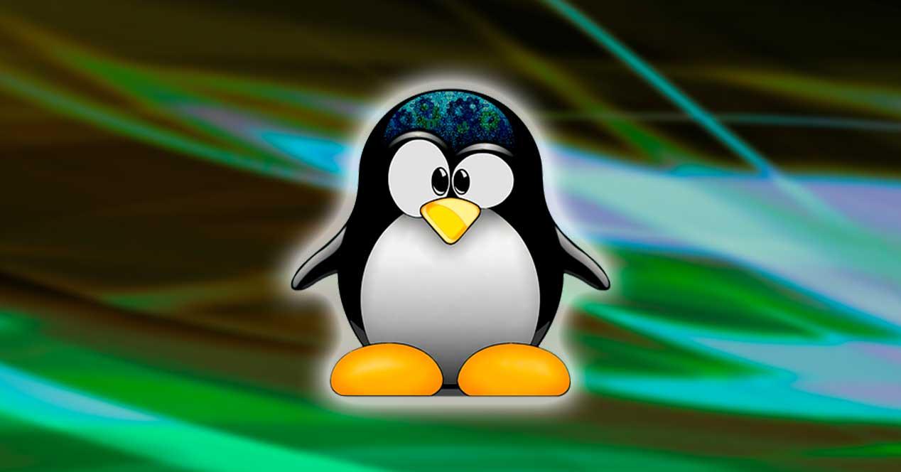 Núcleo Tux Linux