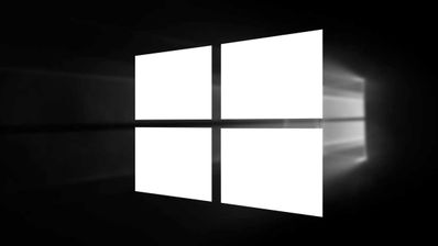 Fin W10