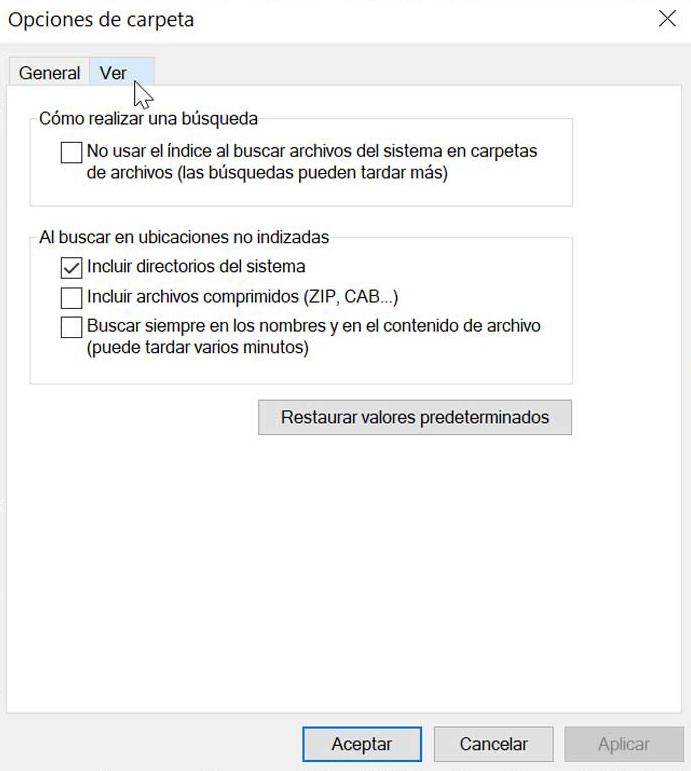 Opciones carpeta explorador de Windows Buscar