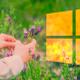 Windows 10 primavera