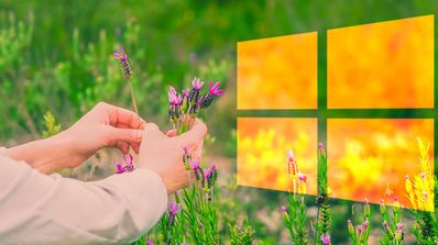 Windows 10 primavera