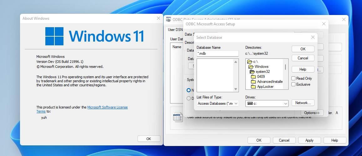 Windows 3.1 en Windows 11