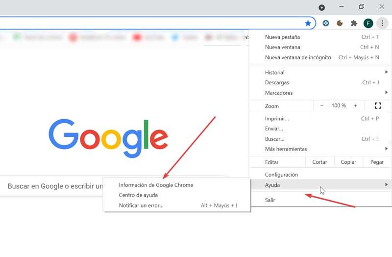 Información de Google Chrome