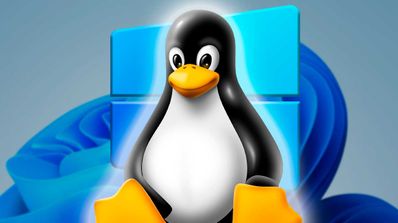 Windows 11 Linux