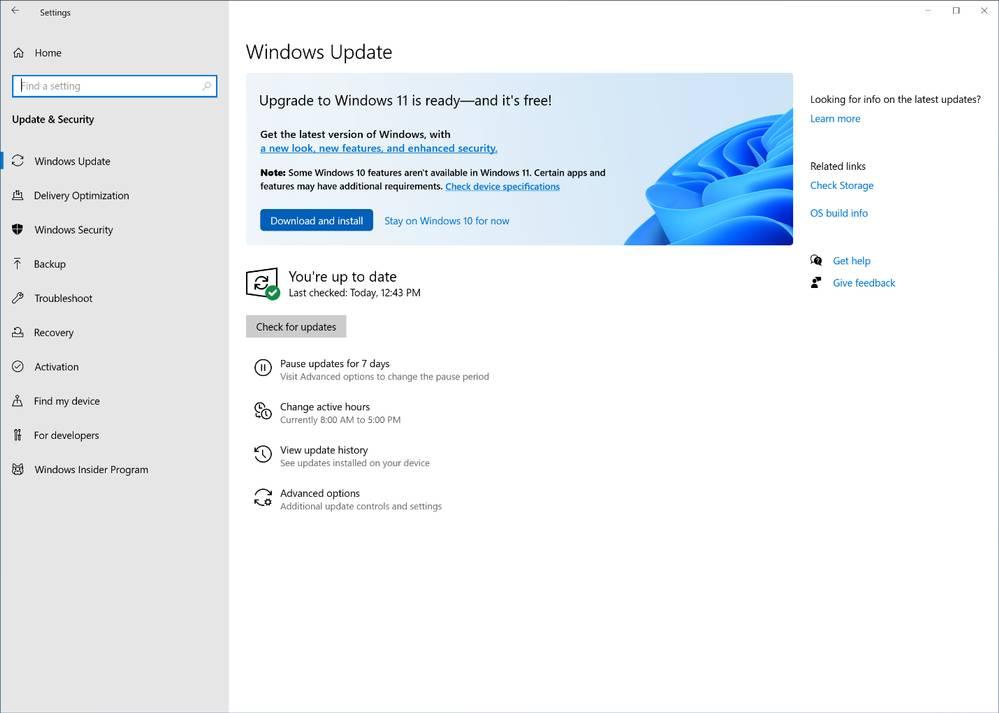 Actualización opcional Windows 11