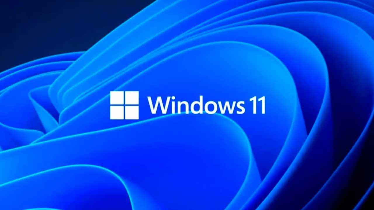 Windows 11 logo con fondo