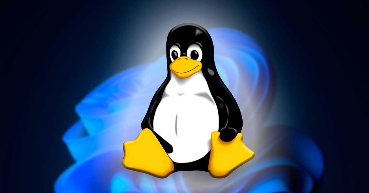Linux en Windows 11