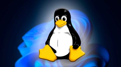 Linux en Windows 11