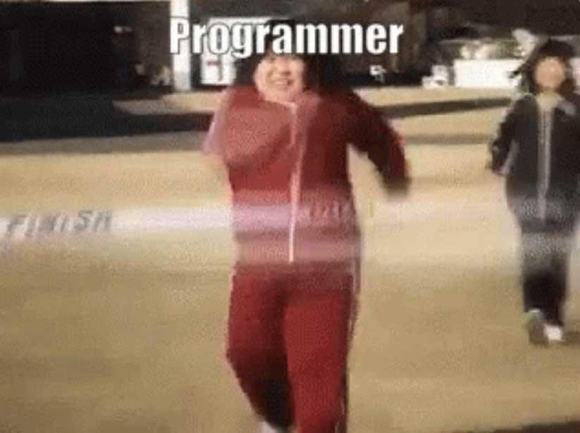 gif programador